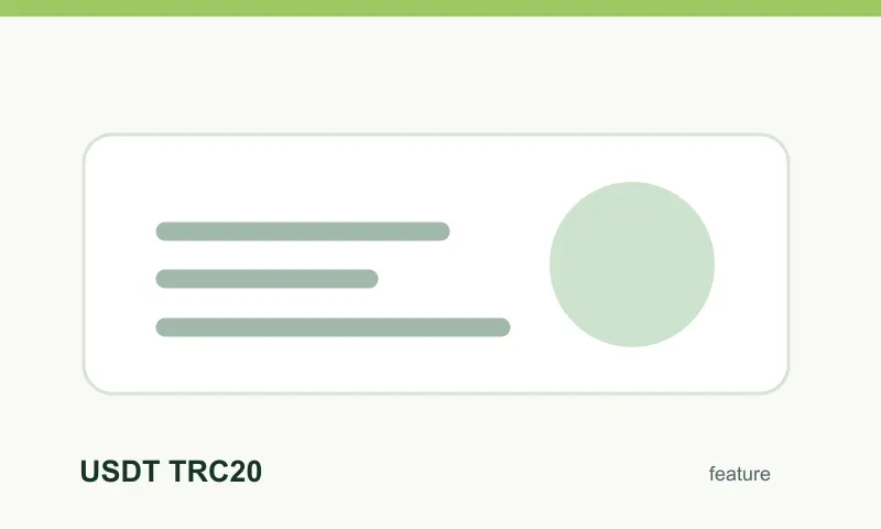 USDT TRC20: platba a limity v Lizaro